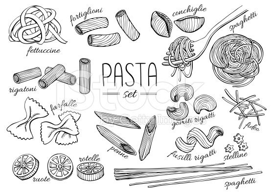 Vector Hand Drawn Pasta Set Vintage Line Art Illustration 556x401 Vector Hand Drawn Pasta Set Vintage Line Art Illustration