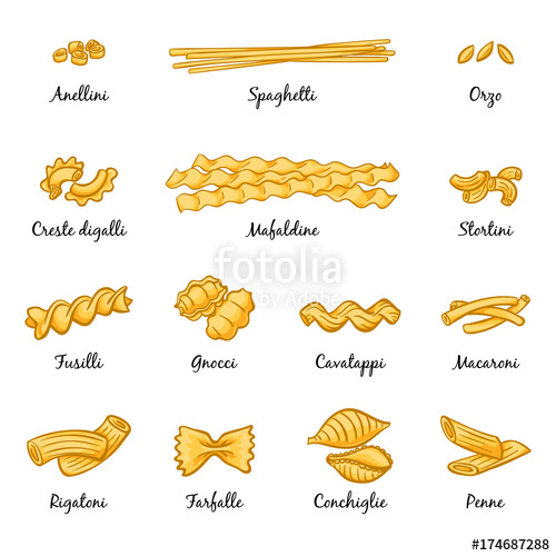 Macaroni, Spaghetti And Others Type Of Italian Pasta Vector 500x500 Macaroni, Spaghetti And Others Type Of Italian Pasta Vector