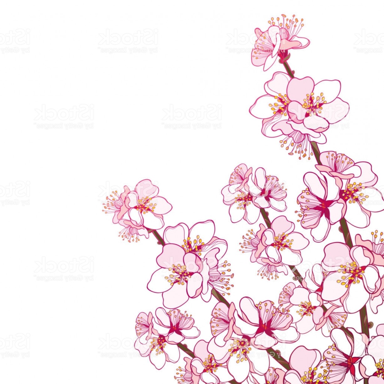 Vector Corner Borders Pink Flower Geekchicpro 1228x1228 Vector Corner Borders Pink Flower Geekchicpro