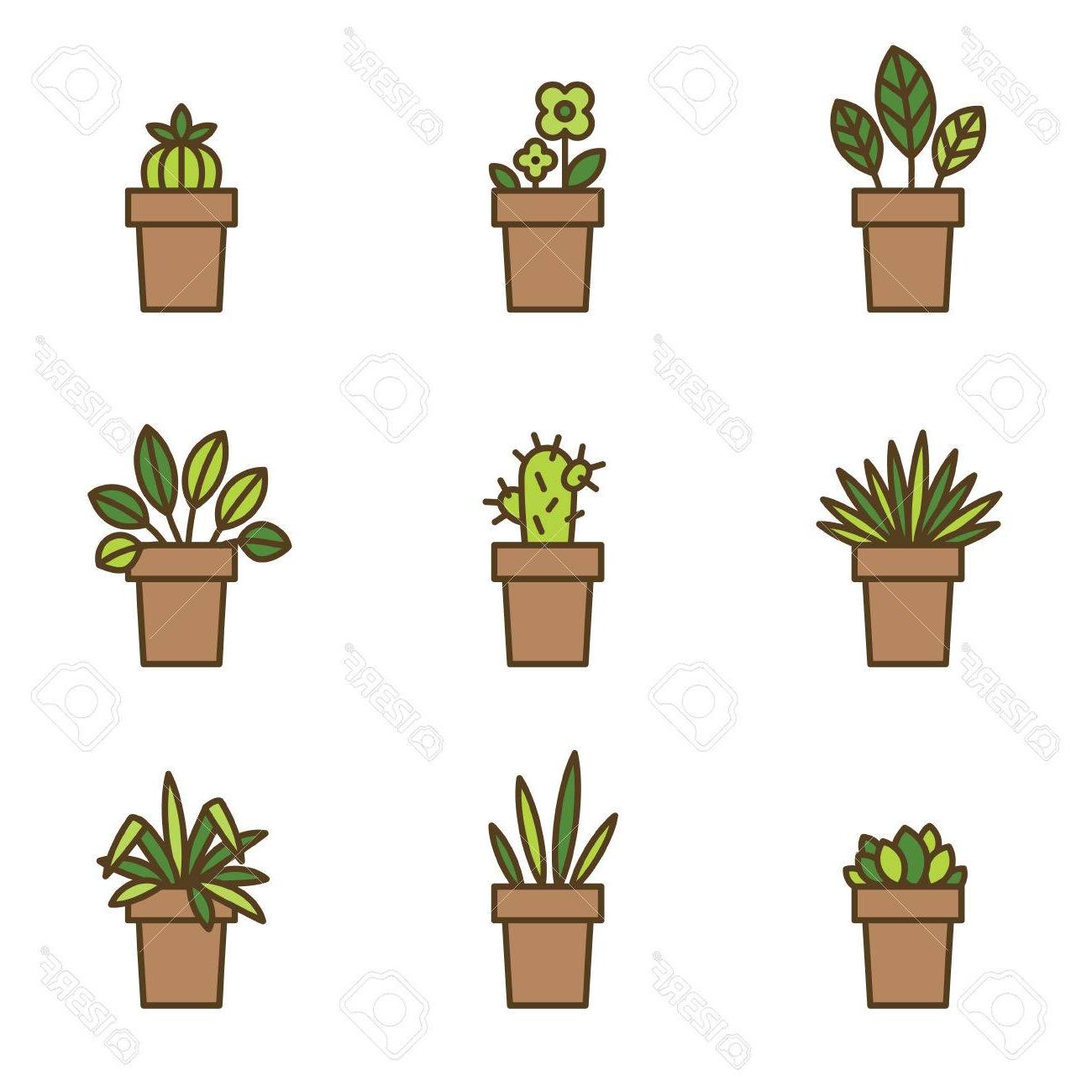 1300x1300 Top Potted Plants For Patio Vector Cdr Free Vector Art, Images