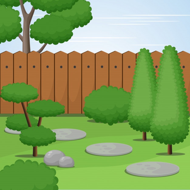 626x626 Yard Tree Vectors, Photos And Free Download