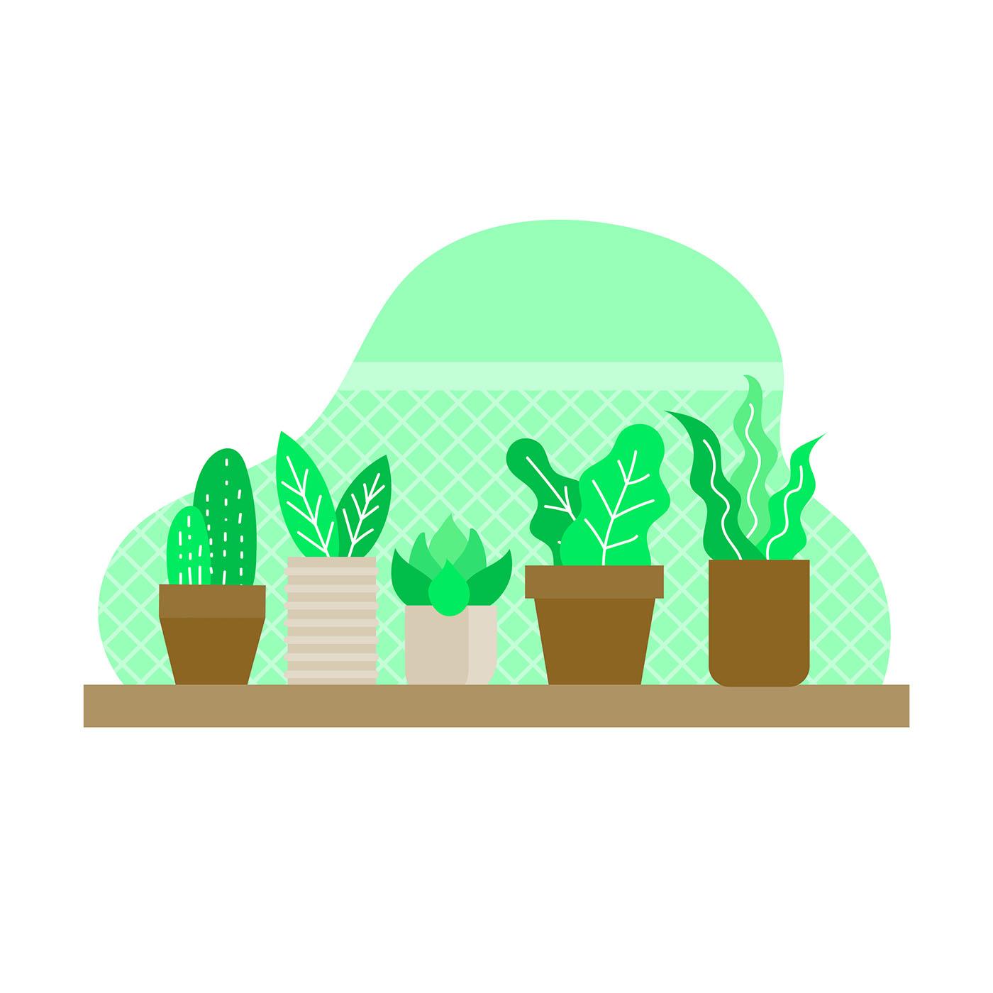 1400x1400 Best Hd Potted Plants For Shady Patio Vector Free Free