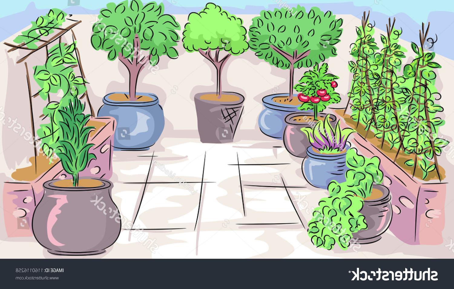 1500x955 Best Potted Plants For Patio Vector Photos Vector Images Design