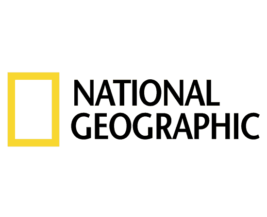 550x446 National Geographic Logo Vector Kindling