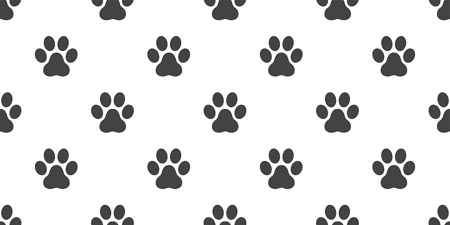 Dog Paw Cat Paw Puppy Kitten Vector Seamless Pattern Wallpaper 900x450 Dog Paw Cat Paw Puppy Kitten Vector Seamless Pattern Wallpaper