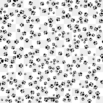 Paw Png, Vector, And Clipart With Transparent Background 360x360 Paw Png, Vector, And Clipart With Transparent Background