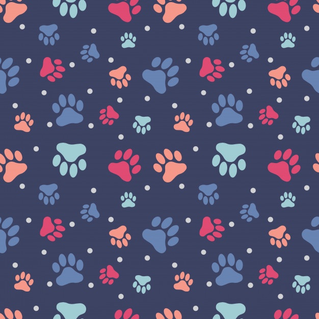 Paw Vectors, Photos And Free Download 626x626 Paw Vectors, Photos And Free Download
