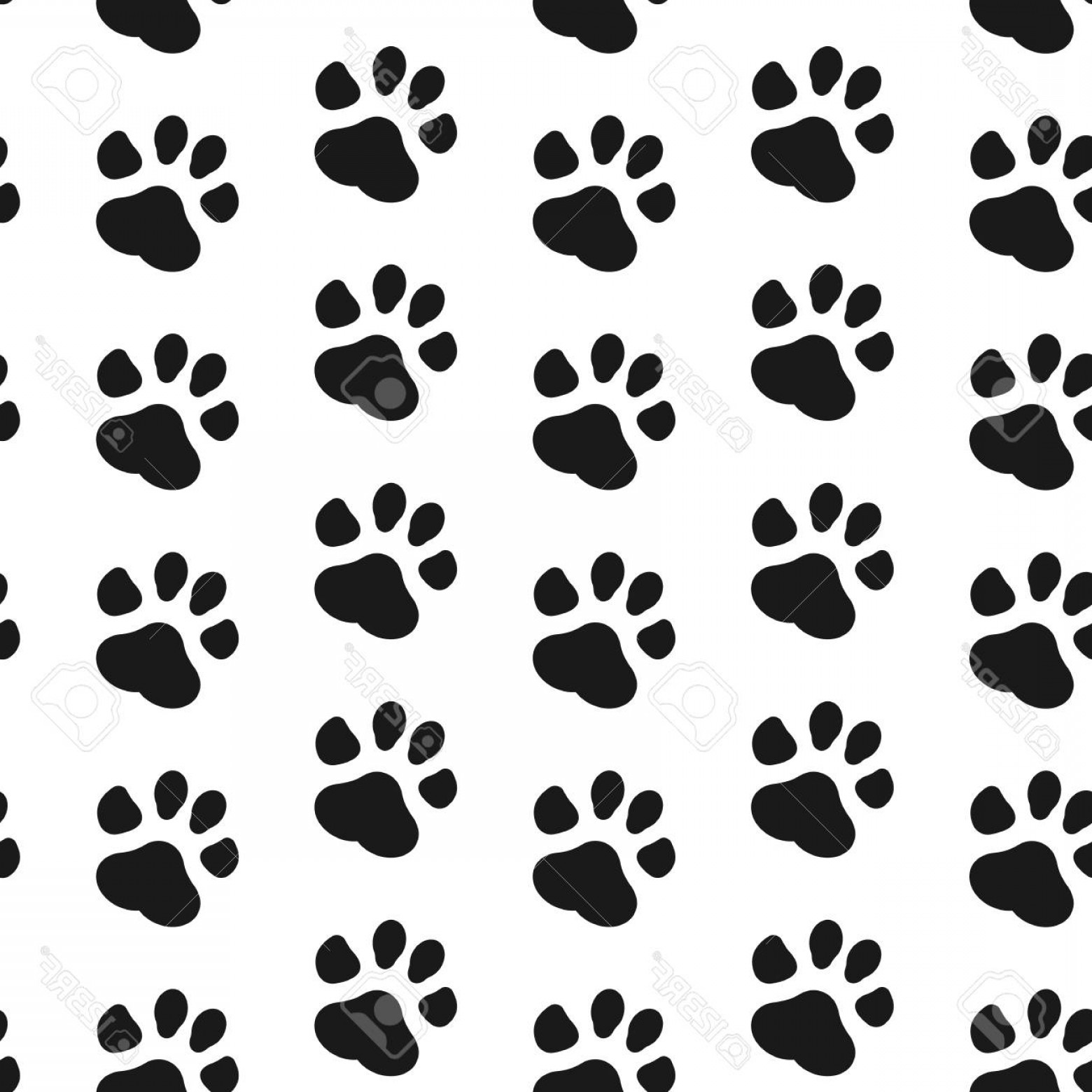 Photostock Vector Paw Print Seamless Dog And Cat Footprint 1560x1560 Photostock Vector Paw Print Seamless Dog And Cat Footprint