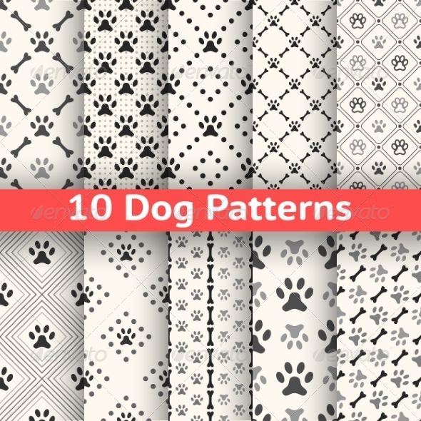 Set Of Animal Seamless Vector Pattern Of Paw Footprint 590x590 Set Of Animal Seamless Vector Pattern Of Paw Footprint