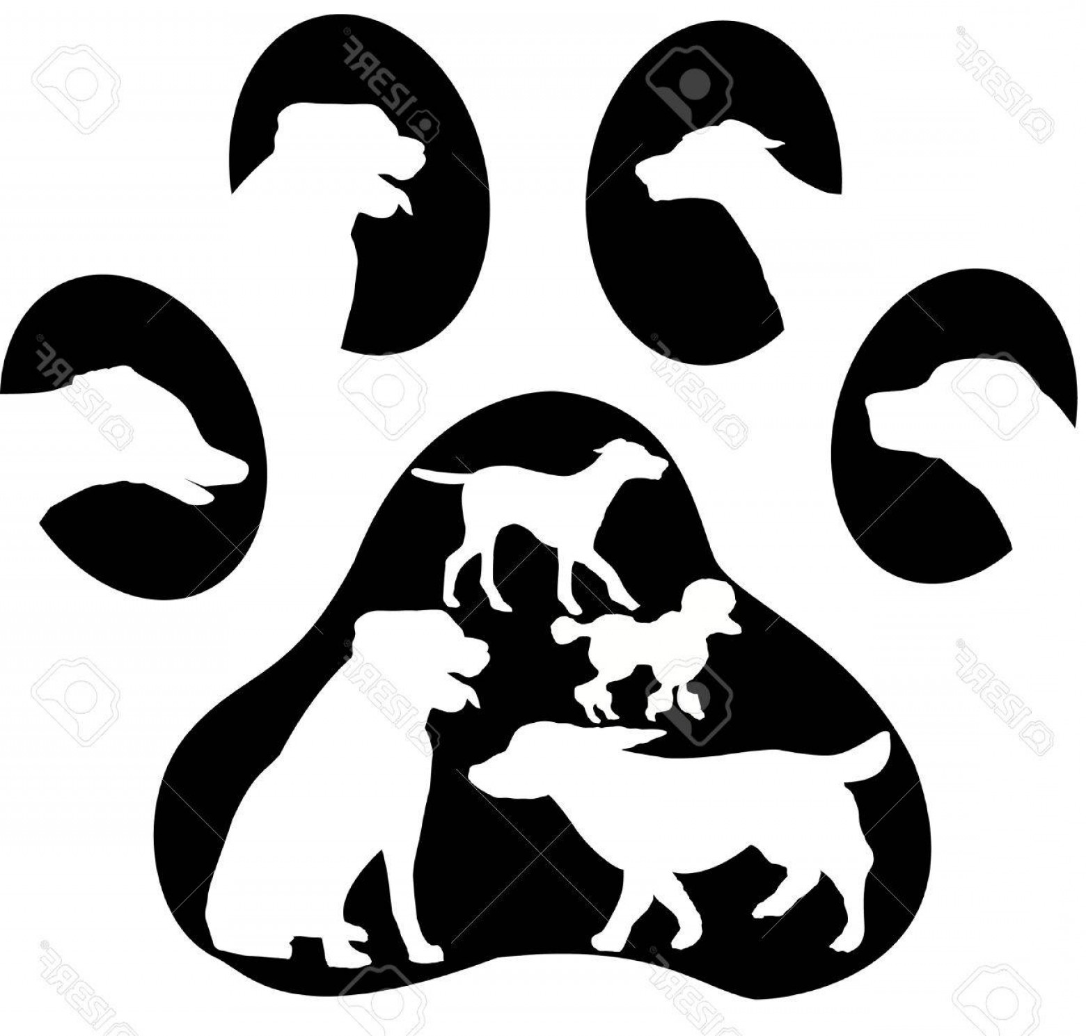 Dog Paw Print Vector Art Catchsplace 1560x1489 Dog Paw Print Vector Art Catchsplace