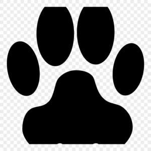 Panther With Paw Print Vector Soidergi 300x300 Panther With Paw Print Vector Soidergi