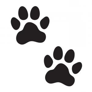 Paw Print On White Background Dog Paw Sign Cat Paw Sign Animal 300x300 Paw Print On White Background Dog Paw Sign Cat Paw Sign Animal