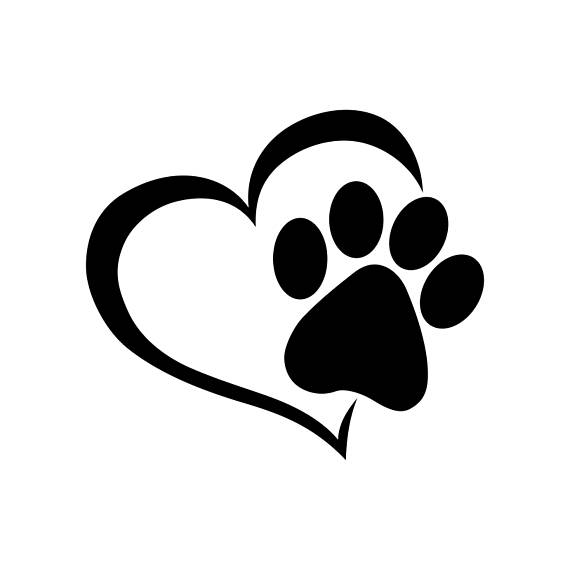 Products Dog Paws, Dogs, Love Pet 570x570 Products Dog Paws, Dogs, Love Pet