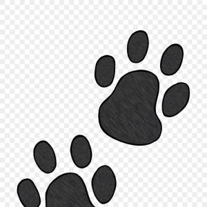 300x300 Panther With Paw Print Vector Soidergi