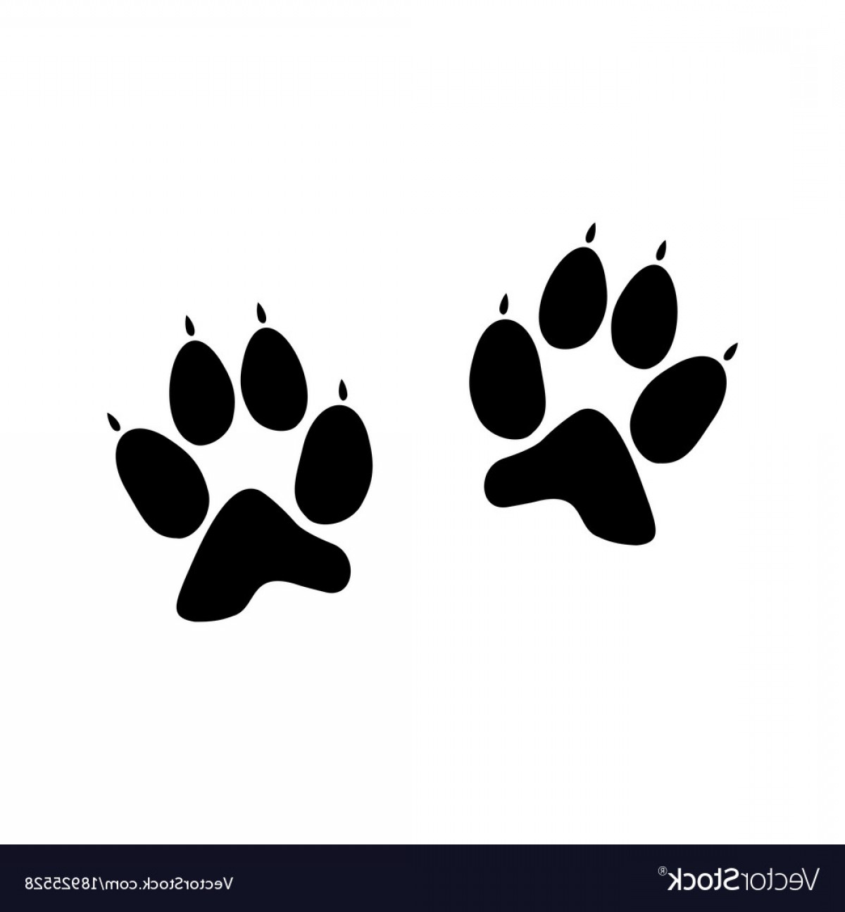 Paw Print Vector Free at Vectorified.com | Collection of Paw Print ...