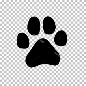 300x300 Top Seamless Pattern With Dog Paw Print Download Royalty Free