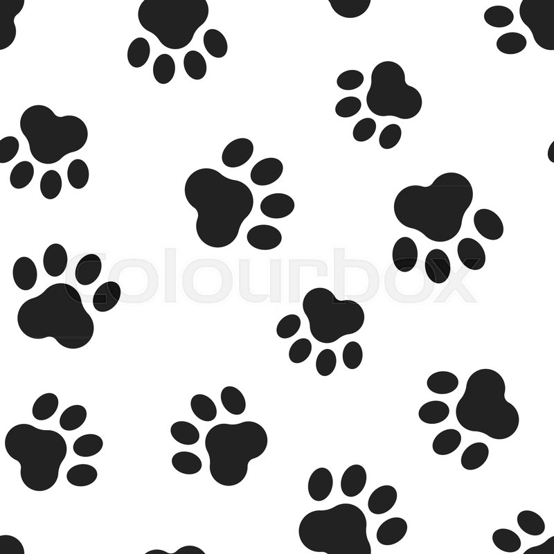Paw Print Vector Image