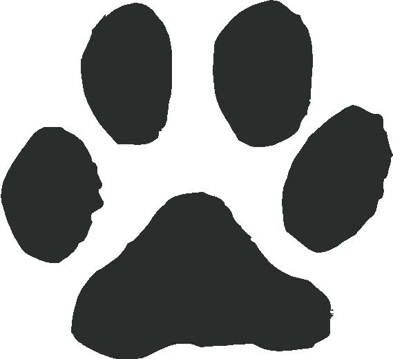 569x520 Download Cat Paw Print Vector Clipart Cat Dog Paw Cat,dog,bear