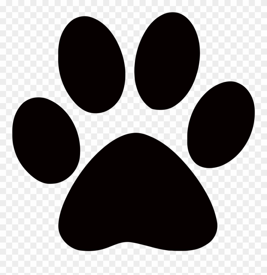 880x907 Footprints Clipart Cougar