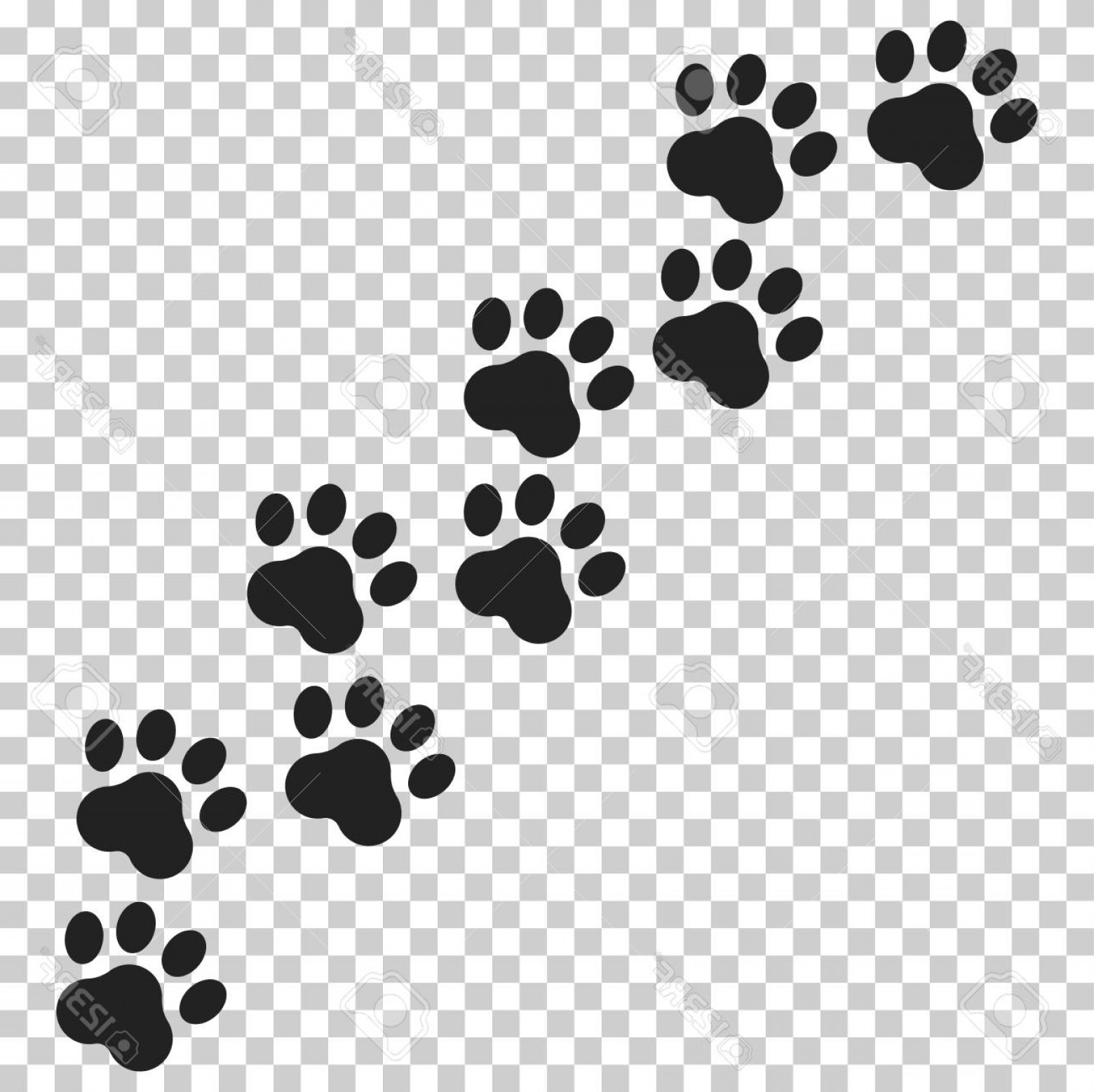 1560x1558 Paw Print Vector Studiogrfx