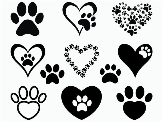 Paw Print Vector Image at Vectorified.com | Collection of Paw Print ...