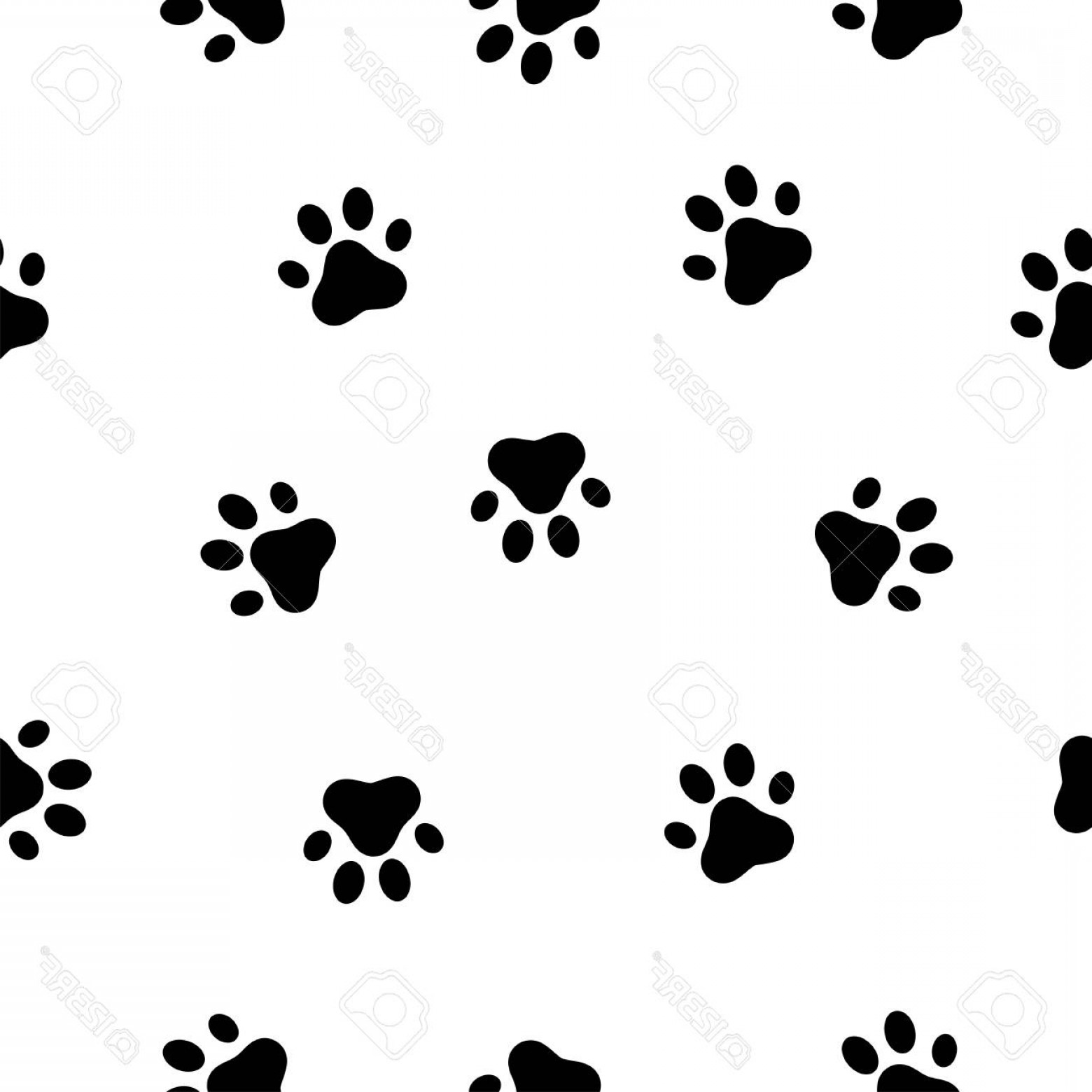 1560x1560 Photostock Vector Dog And Cat Paw Seamless Pattern Animals Paw