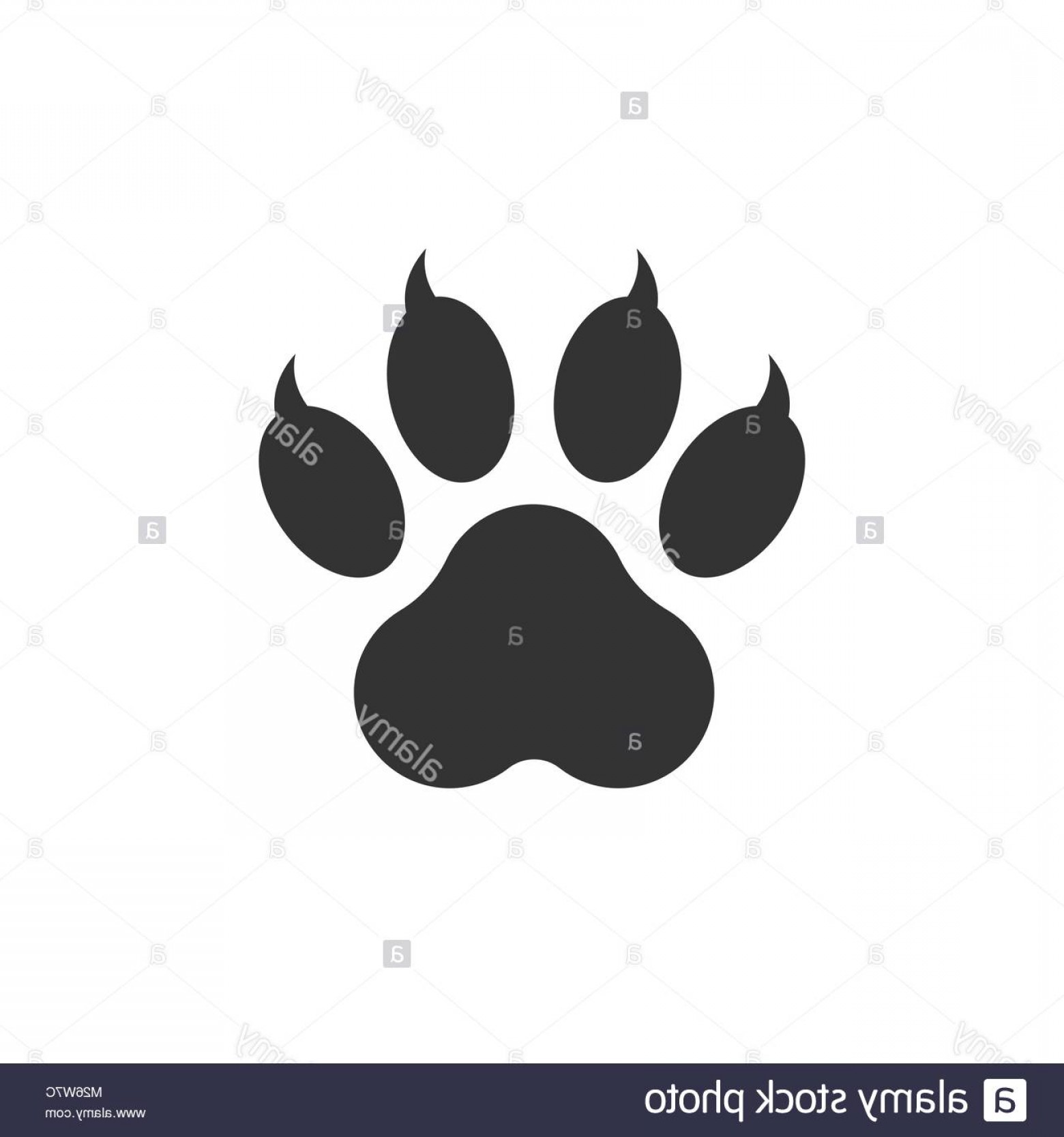 1560x1668 Stock Photo Paw Print Icon Vector Illustration Isolated On White