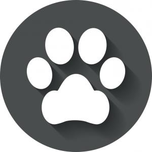 300x300 Dog Paw Sign Icon Pets Symbol Vector Studiogrfx