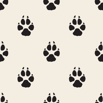338x338 Dog Paw Vector