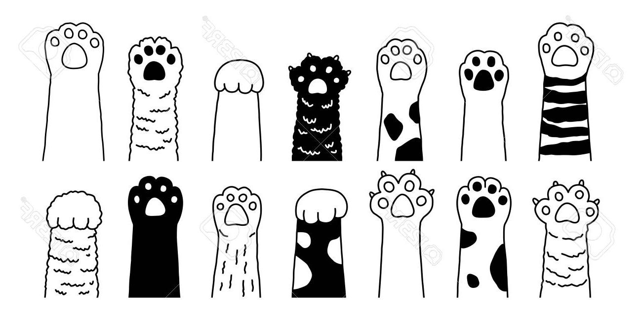 1300x649 Hd Cat Paw Vector Art Images Vector Images Design