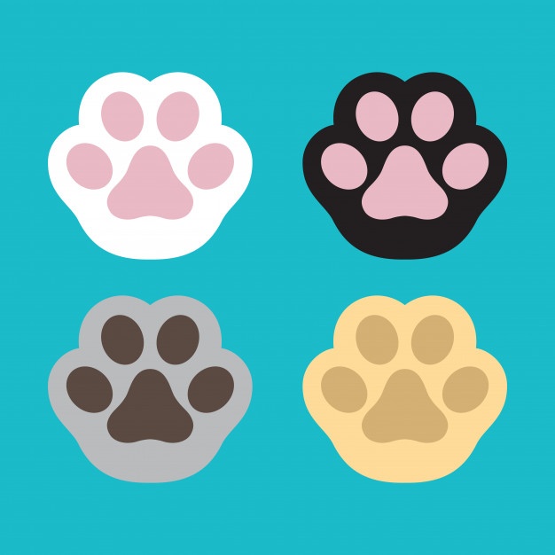 626x626 Paw Vectors, Photos And Free Download