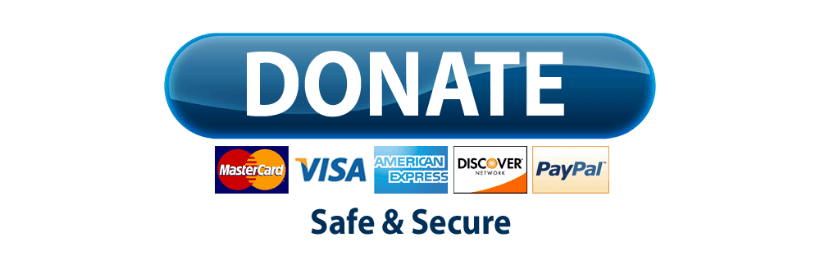 817x264 Hq Paypal Donate Button Png Transparent Paypal Donate Button