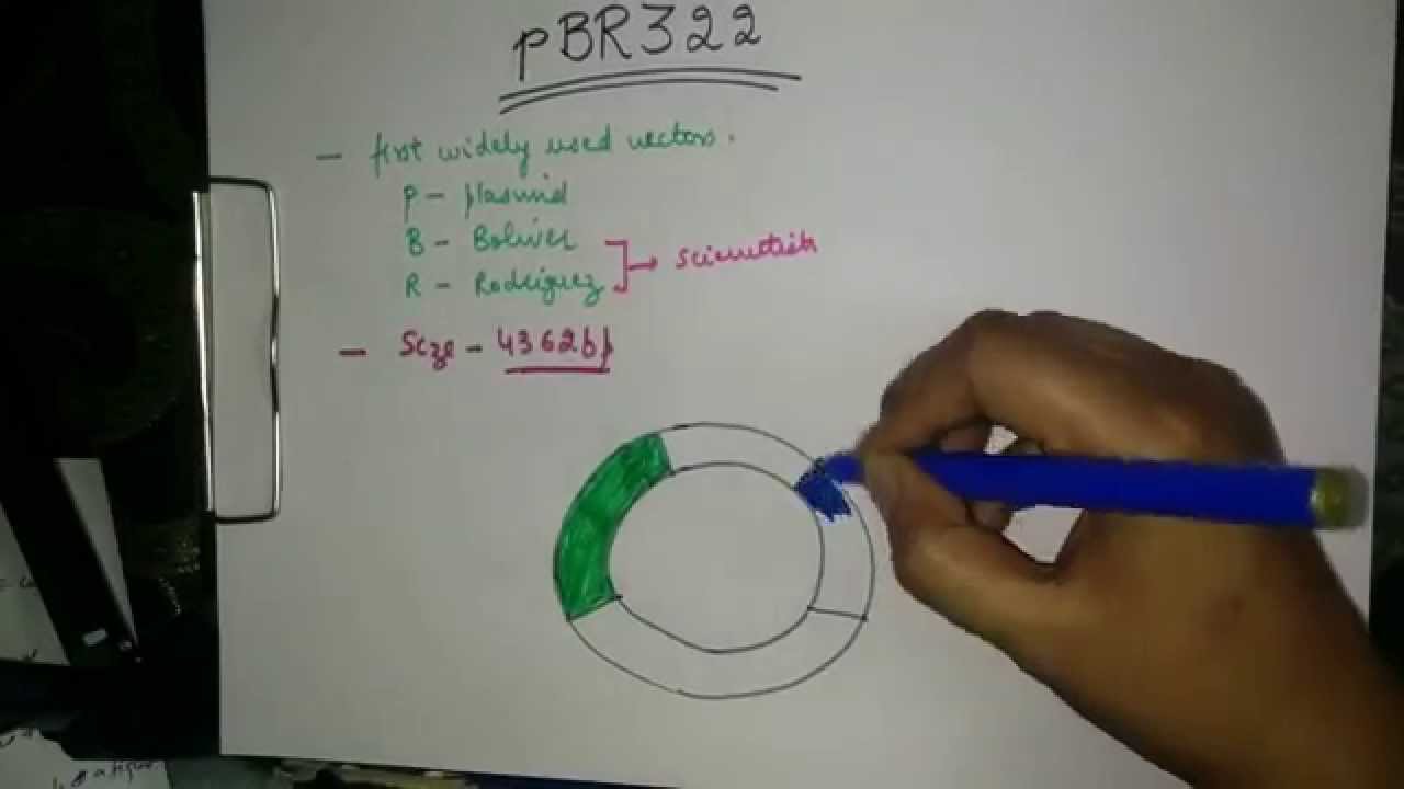 1280x720 Plasmid Vectors