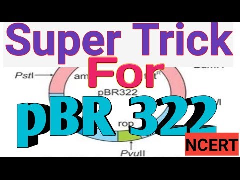 480x360 Videos Matching To Learn Cloning Vector