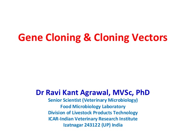 638x479 Cloning Vectors