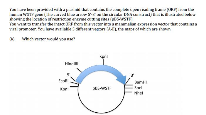 702x393 Solved You Have Been Provided With A Plasmid That Contain