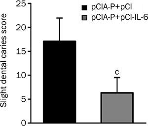 300x255 Intranasal Co Delivery Of Il Gene Enhances The Immunogenicity