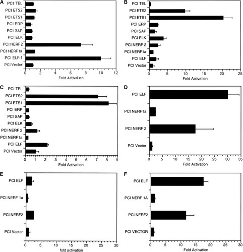 482x500 Role Of The Ets Transcription Factors In The Regulation