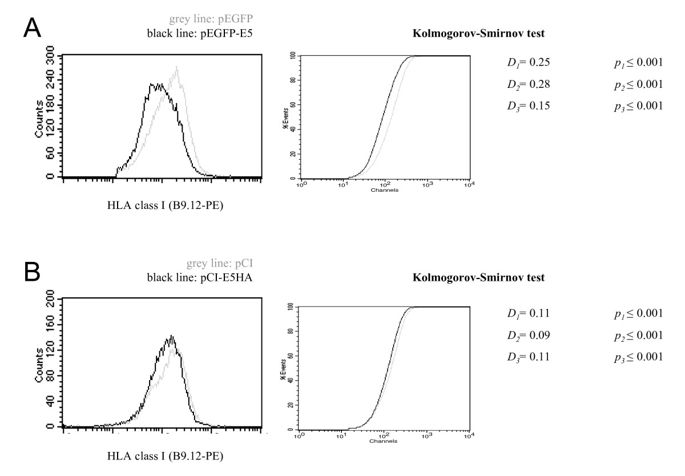 685x476 The Protein Of The Human Papillomavirus Type Down Regulates