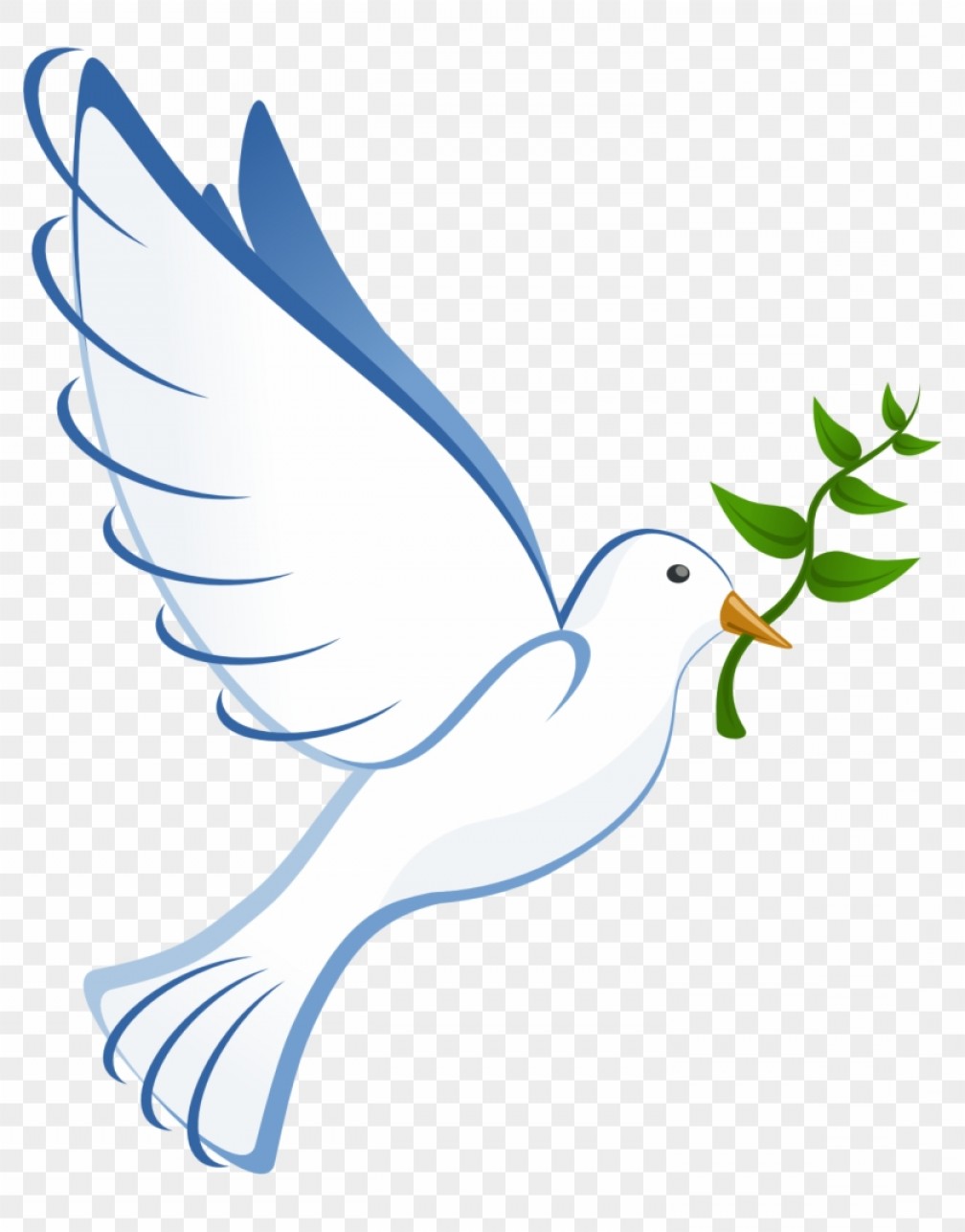 1008x1286 Mikmzgzhholy Spirit Dove Clip Art Peace Dove No Background