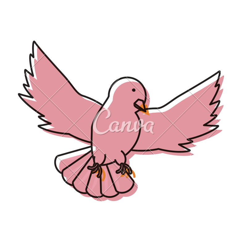 800x800 Peace Dove Vector Illustration