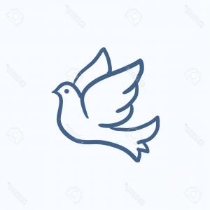300x300 Best Hd Peace Dove Vector Drawing Catchsplace