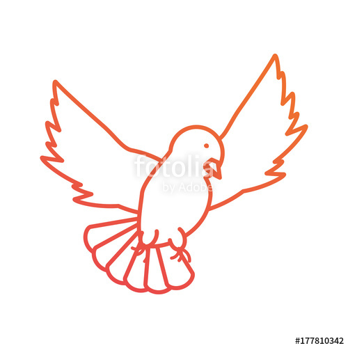 500x500 Peace Dove Vector Illustration Stock Image And Royalty Free
