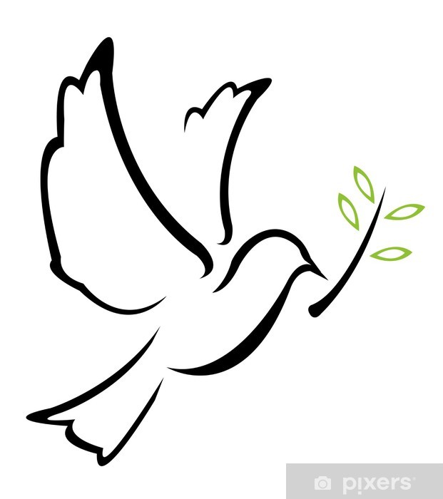 621x700 Dove Peace Vector Wall Mural