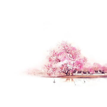 360x360 Peach Blossom Background Png, Vector, And Clipart