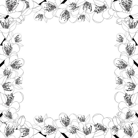 450x450 Prunus Persica