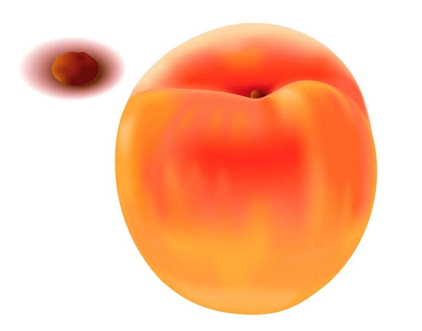 850x666 How To Draw Vector Peaches Using Gradient Mesh In Adobe Illustrator