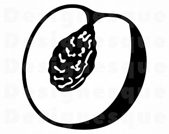 340x270 Peach Vector Etsy