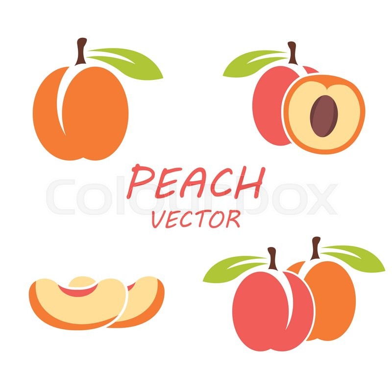 800x800 Vector Flat Peach Icons Set On White Stock Vector Colourbox