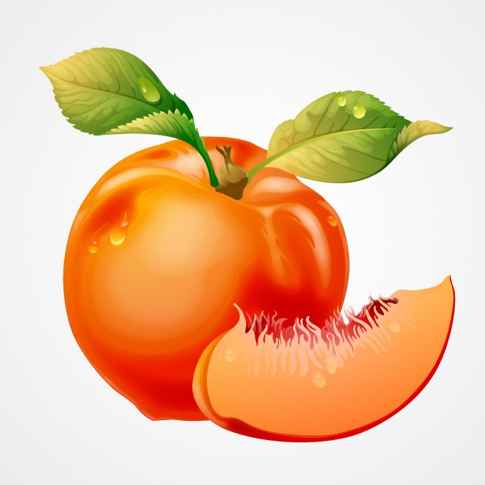680x680 Free Peach Files, Vectors Graphics